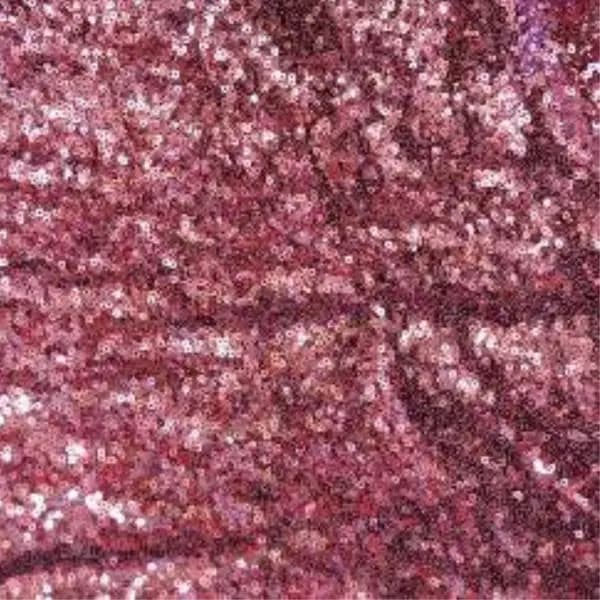 Sequin Backdrop 5