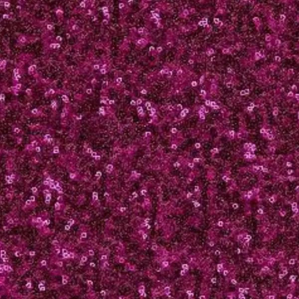 Sequin Backdrop 8
