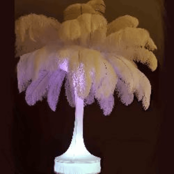 Ostrich Feathers 5