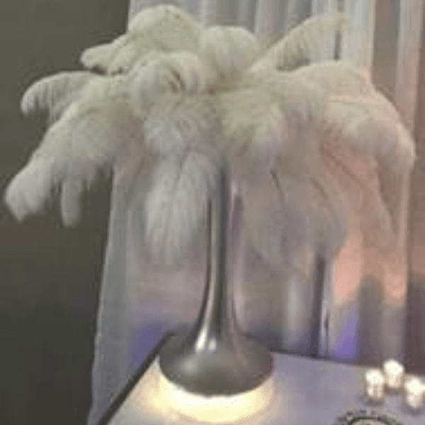 Ostrich Feathers 4