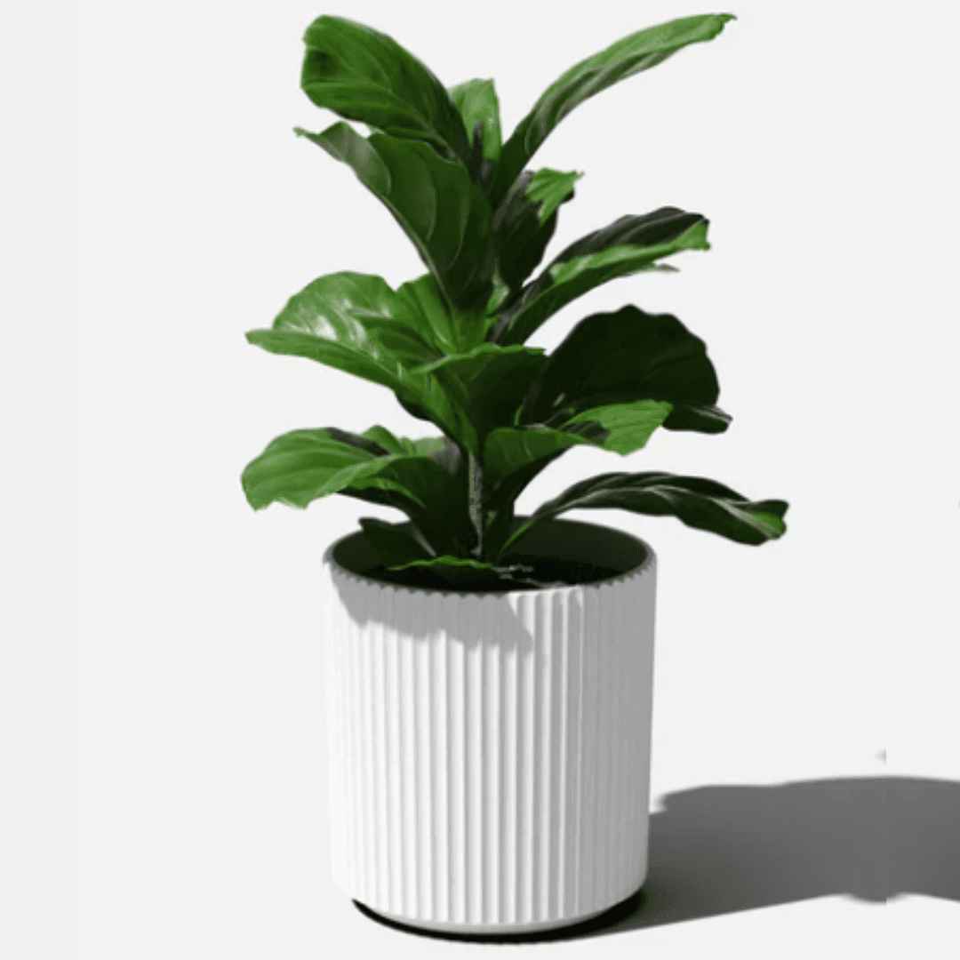 Demi Planter